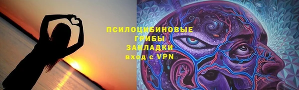 мдпв Верхний Тагил