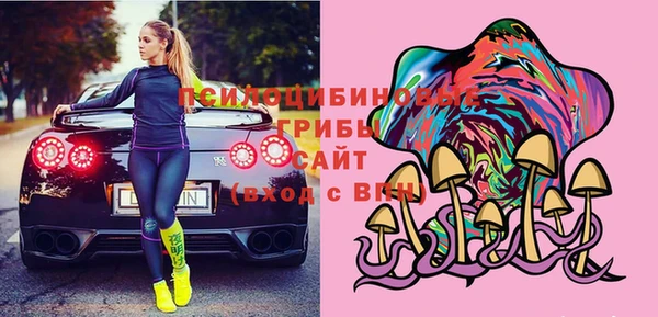 мдпв Верхний Тагил